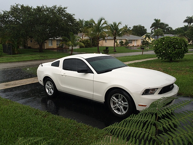 Got My Mustang