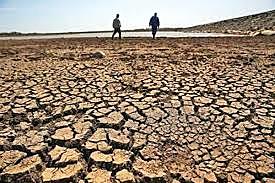 Degradación del Medio Ambiente