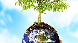 Timeline: La dimensión ambiental a través de la historia