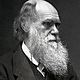 Charles darwin3