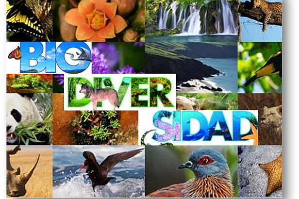 EXPEDICIONES BOTANICAS