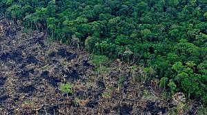 De forestación y Destrucción