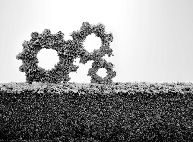 DOCUMENTO INFORMATIVO