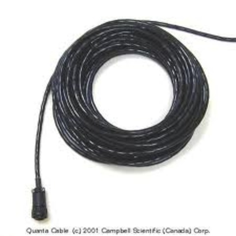 Fredrick Newton Gisborne