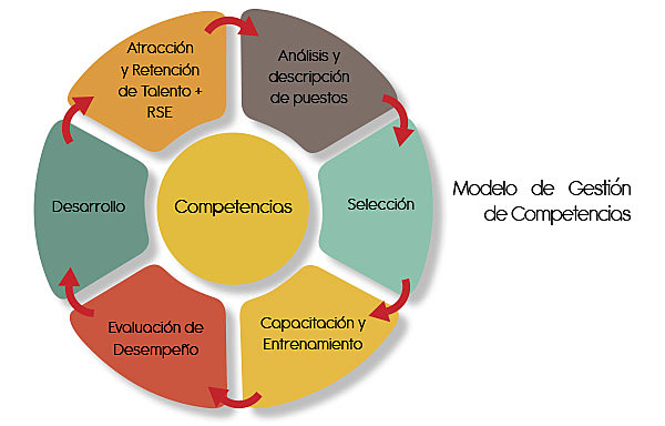 GESTIÓN POR COMPETENCIAS DE LA ADMINISTRACIÓN