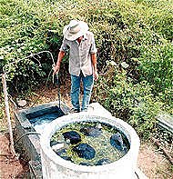 Incidencia social y económica