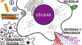 Timeline: historia de la imunologia