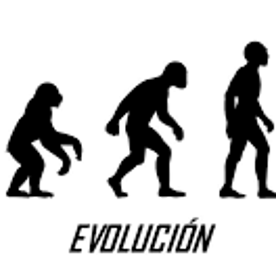 Timeline: Línea del tiempo etapas evolutivas del ser humano