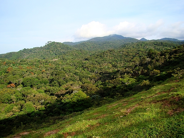 Incidencias sociales y económicas
