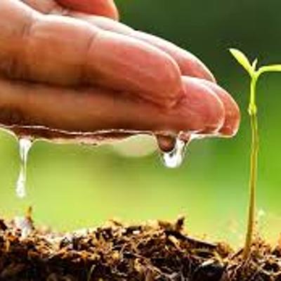 Timeline: problemática ambiental