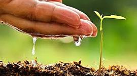 Timeline: problemática ambiental