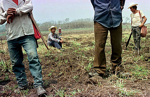 Impacto en la industria salvadoreña