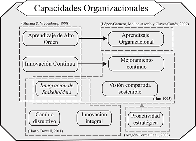 Desarrollo de las capacidades organizacionales.