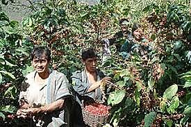 Expropiación de tierras comunales