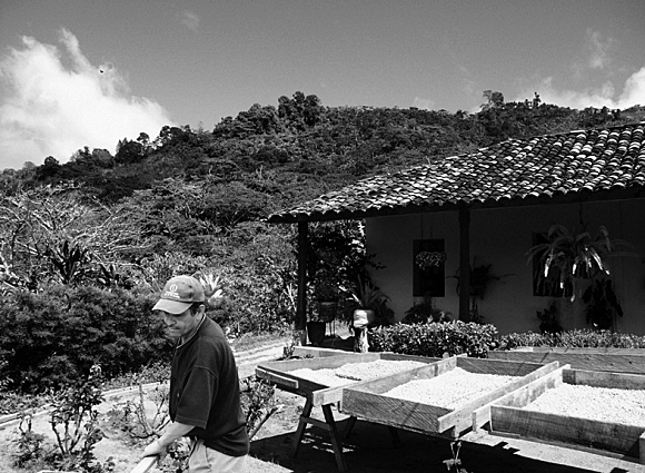 Creación del Registro de Propiedad Raíz e Hipotecas