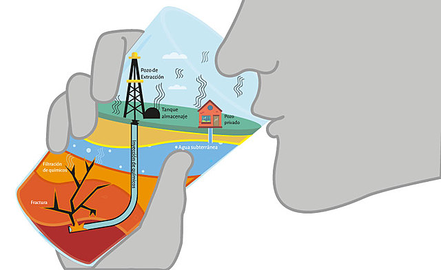 Comportamiento Irracional