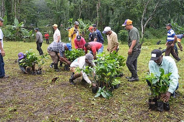 Incidencias sociales y económicas
