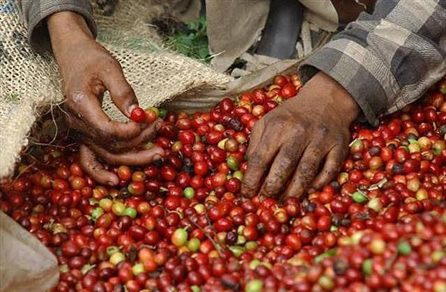 Impacto en la industria salvadoreña