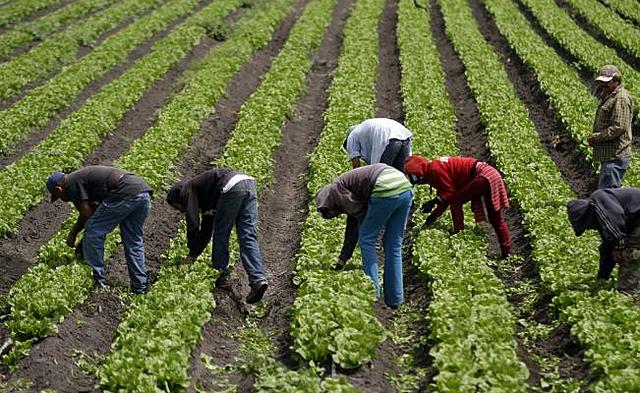 Impacto en la industria salvadoreña