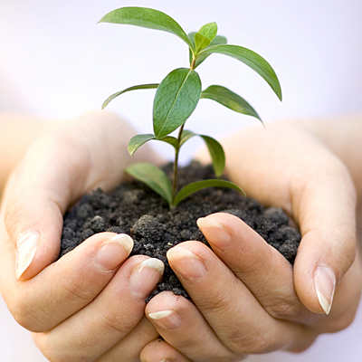 Timeline: Terapias Naturales
