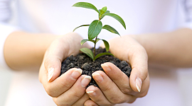 Timeline: Terapias Naturales