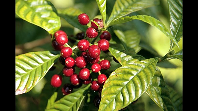 Incidencias sociales y económicas