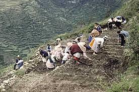 Incidencias sociales y económicas