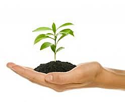 Consciencia y deterioro ambiental