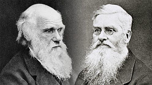 Collaboration with Alfred Russel Wallace