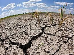 Perdida y degradación de los suelos