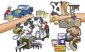 1909.  Taylor propone separar las actividades de producción de las del control de calidad.