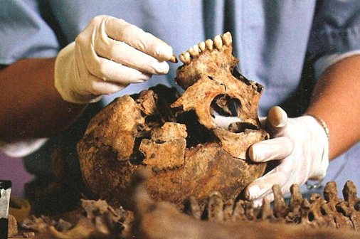 Se crea La Sociedad Escandinava de Odontología Forense por el Dr. Soren K. Nielsen.