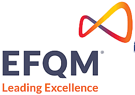 1992.  la European Fundation for Quality Management (EFQM) adoptó el término de Excelencia.