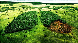 Timeline: Línea de tiempo: Problemática ambiental Global.