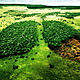 Pul ambiental