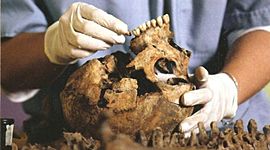 Timeline: Odontología Legal y Forense en México.