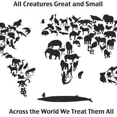 Timeline: Sucesos importantes en la Historia de la Medicina Veterinaria