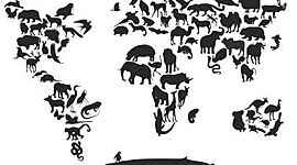 Timeline: Sucesos importantes en la Historia de la Medicina Veterinaria