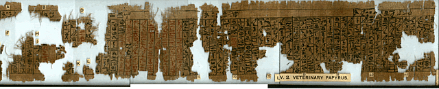 Papiro Kahun, texto médico más antiguo