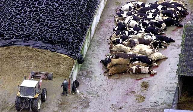 Premio Nobel por descubrimiento de priones