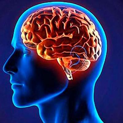 Timeline: Técnicas Y Métodos Neurobiológicos para el Estudio de la Relación Entre Cerebro Y Conducta  Objetivo de la unidad: