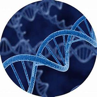 Timeline: Biología Molecular
