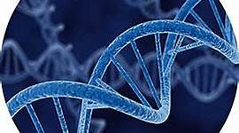 Timeline: Biología Molecular