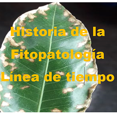 Timeline: Historia de la Fitopatologia