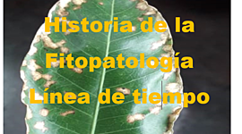 Timeline: Historia de la Fitopatologia