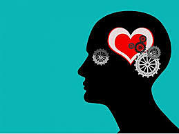 1912 CIENCIAS DEL COMPORTAMIENTO (APORTES)