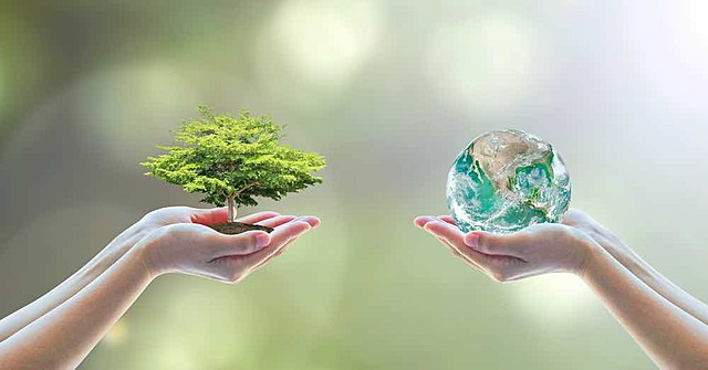 Conciencia Ecólogica