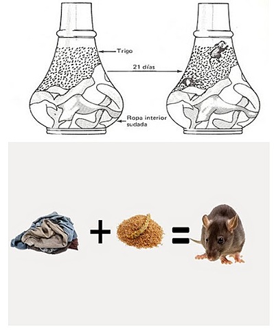 Receta de van Helmont - Generación espontánea de roedores.