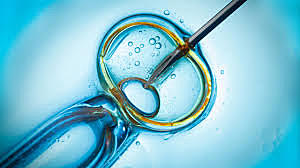 Se promulga la «Donum Vitae: Instrucción sobre el respeto a la vida humana naciente y la dignidad de la procreación»,