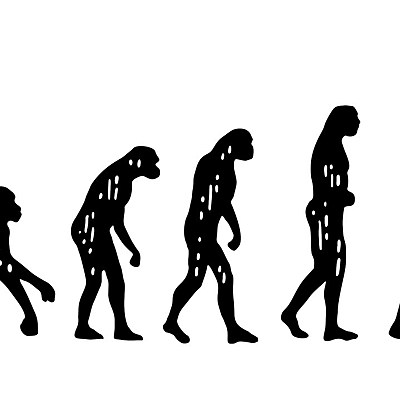Timeline: The Life of Charles Darwin & The Theory of Evolution